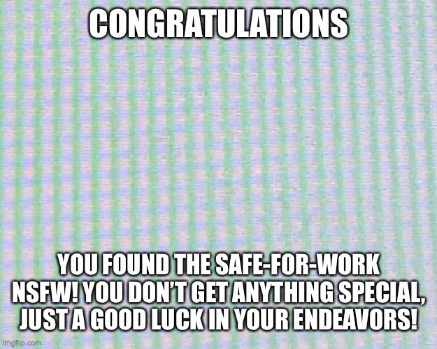 This meme is incredibly NSFW | CONGRATULATIONS; YOU FOUND THE SAFE-FOR-WORK NSFW! YOU DON’T GET ANYTHING SPECIAL, JUST A GOOD LUCK IN YOUR ENDEAVORS! | image tagged in nsfw | made w/ Imgflip meme maker