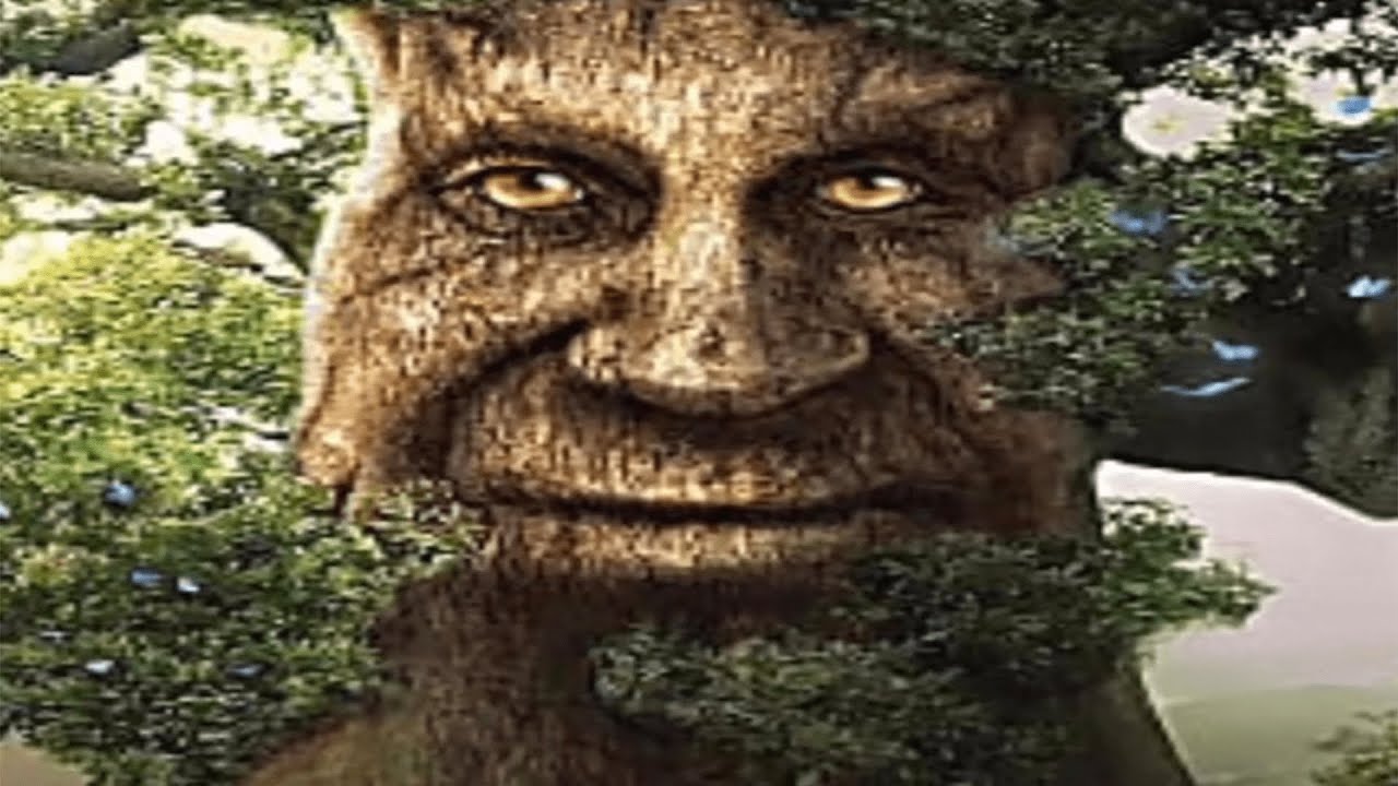 High Quality Wise tree Blank Meme Template