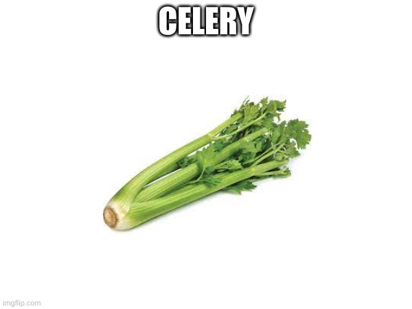 Celery | CELERY | image tagged in food | made w/ Imgflip meme maker