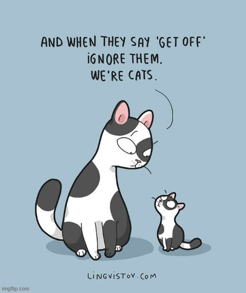 A Cat's Way Of Thinking | image tagged in memes,comics,cats,get off,ignore,humans | made w/ Imgflip meme maker