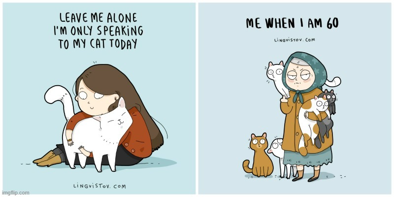 A Cat Lady's Way Of Thinking | image tagged in memes,comics,cat lady,real talk,only,cats | made w/ Imgflip meme maker