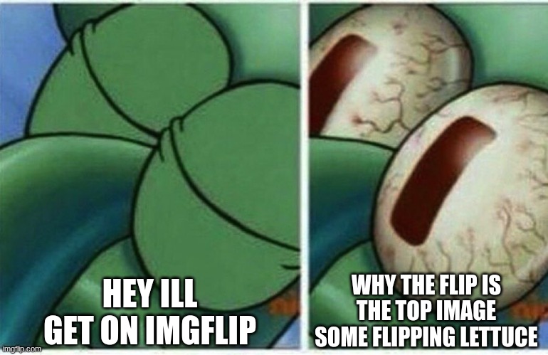 Idk I did this in 10 minutes | HEY ILL GET ON IMGFLIP; WHY THE FLIP IS THE TOP IMAGE SOME FLIPPING LETTUCE | image tagged in squidward | made w/ Imgflip meme maker
