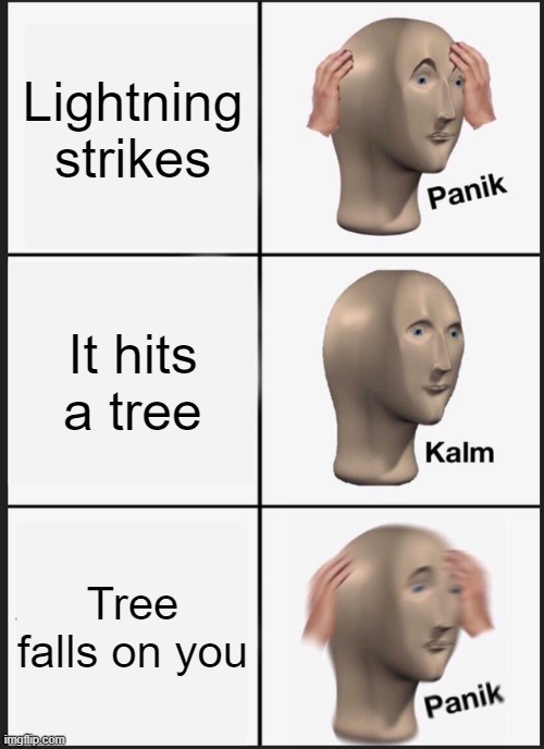 Panik Kalm Panik Meme | Lightning strikes; It hits a tree; Tree falls on you | image tagged in memes,panik kalm panik | made w/ Imgflip meme maker