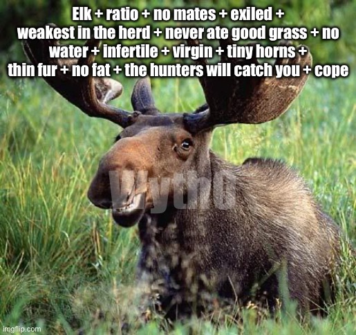 i made a typo | Elk + ratio + no mates + exiled + weakest in the herd + never ate good grass + no water + infertile + virgin + tiny horns + thin fur + no fat + the hunters will catch you + cope; Wyth0 | image tagged in smiling moose | made w/ Imgflip meme maker