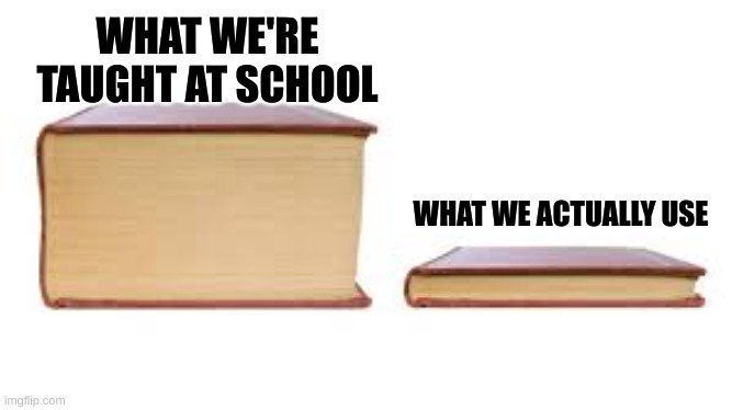 Big book small book | WHAT WE'RE TAUGHT AT SCHOOL; WHAT WE ACTUALLY USE | image tagged in big book small book | made w/ Imgflip meme maker