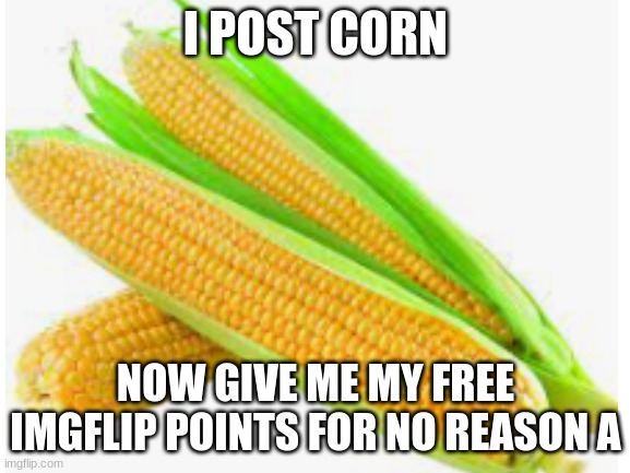 When someone posts an Apple on imglfip: | I POST CORN; NOW GIVE ME MY FREE IMGFLIP POINTS FOR NO REASON A | image tagged in random,popcorn,corn | made w/ Imgflip meme maker
