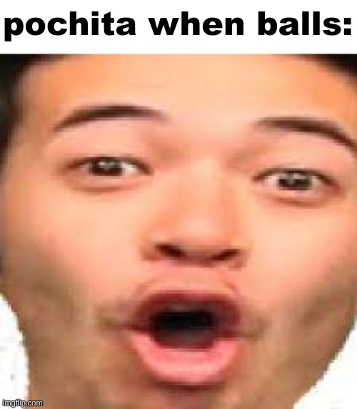 (he thinks they are fun to bounce around) | pochita when balls: | made w/ Imgflip meme maker