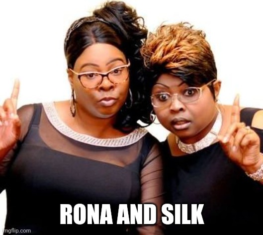 The only thing harder than diamond | RONA AND SILK | image tagged in diamond and silk,antivax,dead | made w/ Imgflip meme maker