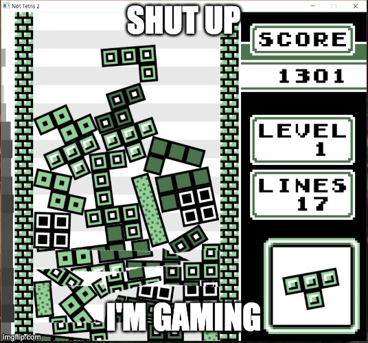 Chaosteris | SHUT UP; I'M GAMING | image tagged in chaos tetris,chaos,gaming,gameboy,random | made w/ Imgflip meme maker