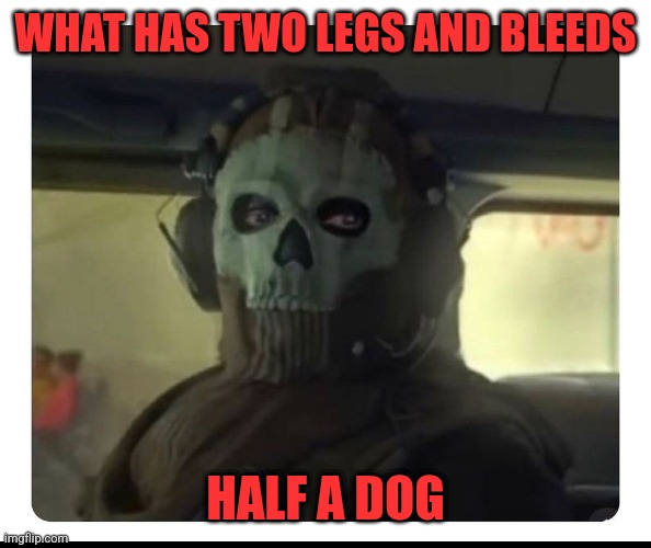 MWII | WHAT HAS TWO LEGS AND BLEEDS; HALF A DOG | image tagged in ghost staring,dark humor | made w/ Imgflip meme maker