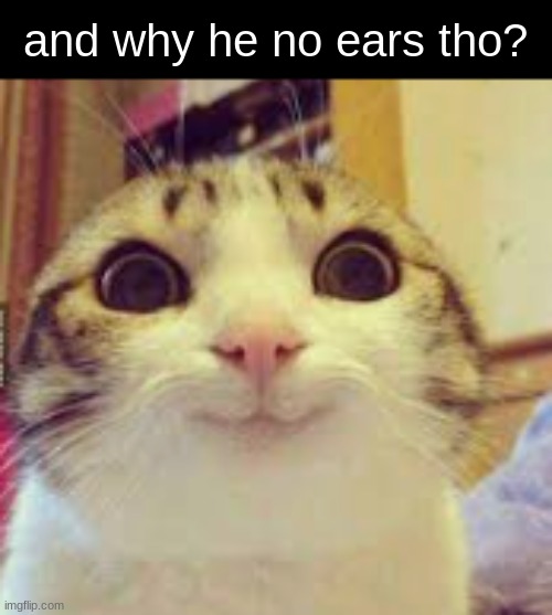 why he no ears? | and why he no ears tho? | image tagged in the x | made w/ Imgflip meme maker