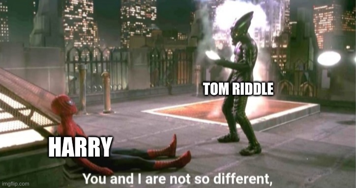 *insert original title here* |  TOM RIDDLE; HARRY | image tagged in you and i are not so diffrent | made w/ Imgflip meme maker