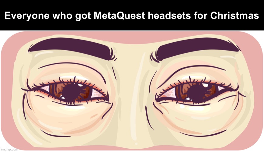 Everyone who got MetaQuest headsets for Christmas | made w/ Imgflip meme maker