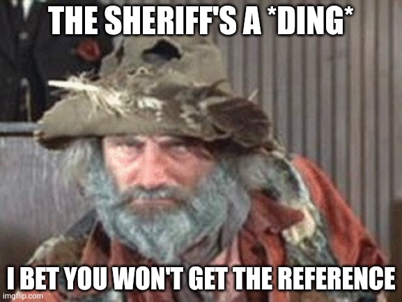 I bet you won't get the reference. | THE SHERIFF'S A *DING*; I BET YOU WON'T GET THE REFERENCE | image tagged in reference | made w/ Imgflip meme maker