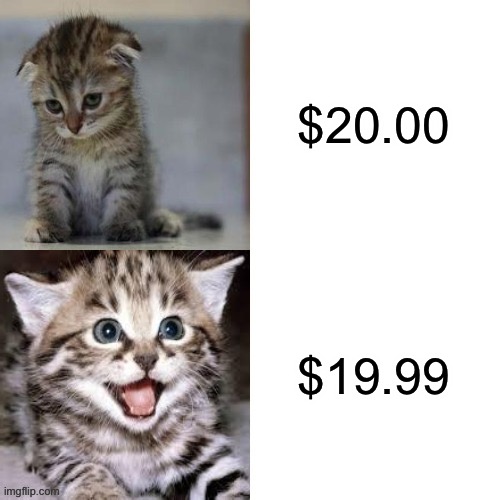 Sad Cat to Happy Cat | $20.00; $19.99 | image tagged in sad cat to happy cat,memes,cats,shopping,shops,so true memes | made w/ Imgflip meme maker