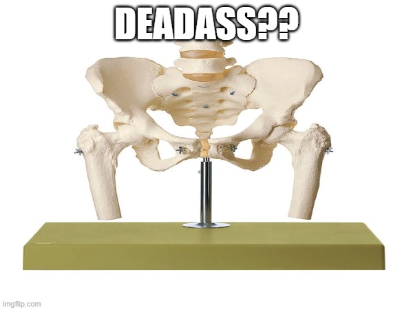 deadass?? | DEADASS?? | image tagged in skeleton | made w/ Imgflip meme maker