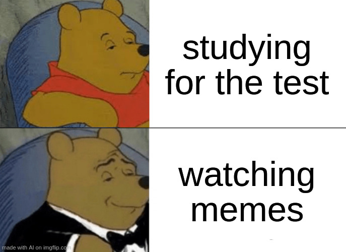 fuc scool | studying for the test; watching memes | image tagged in memes,tuxedo winnie the pooh | made w/ Imgflip meme maker