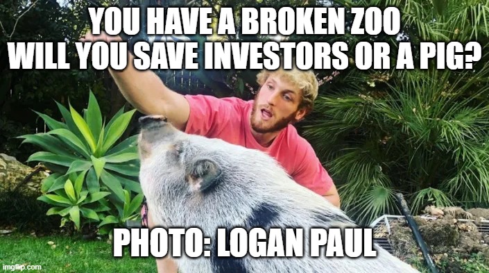 January 2023 Dilemma | YOU HAVE A BROKEN ZOO
WILL YOU SAVE INVESTORS OR A PIG? PHOTO: LOGAN PAUL | image tagged in logan paul,zoom,cryptozoo,pig,crypto,scam | made w/ Imgflip meme maker