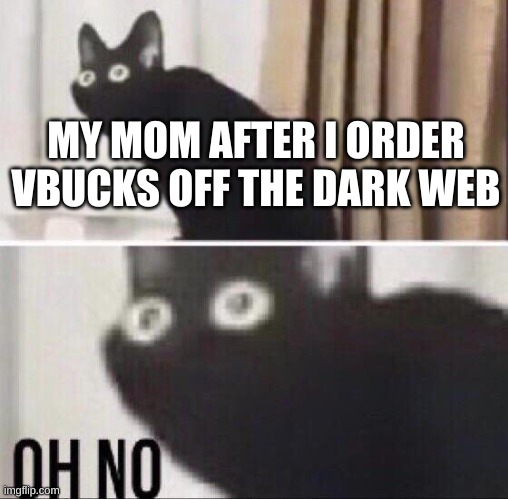 Oh no cat | MY MOM AFTER I ORDER VBUCKS OFF THE DARK WEB | image tagged in oh no cat | made w/ Imgflip meme maker