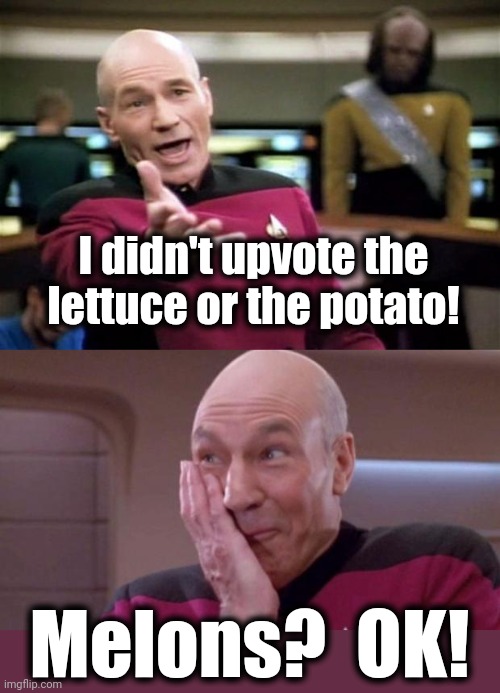 I didn't upvote the lettuce or the potato! Melons?  OK! | image tagged in startrek,picard oops | made w/ Imgflip meme maker