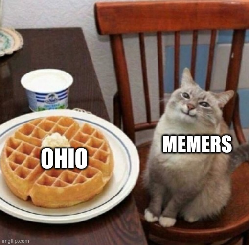 Cat likes their waffle | OHIO; MEMERS | image tagged in cat likes their waffle,waffles,cats,stop reading the tags | made w/ Imgflip meme maker