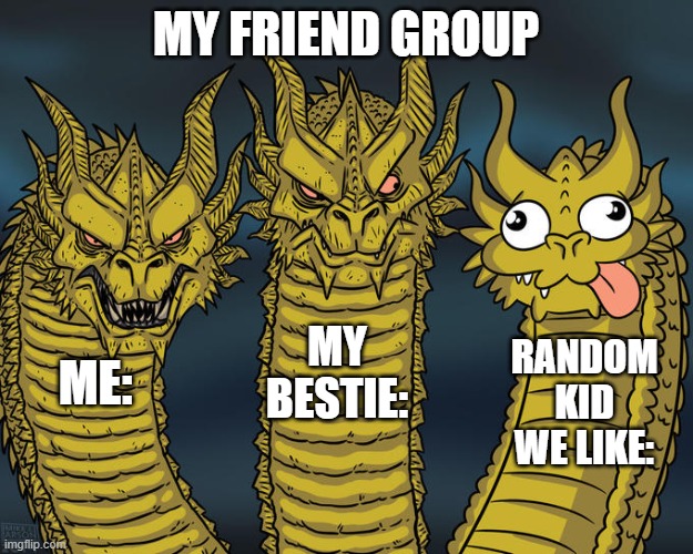 Friend group?? | MY FRIEND GROUP; MY BESTIE:; RANDOM KID WE LIKE:; ME: | image tagged in three-headed dragon | made w/ Imgflip meme maker