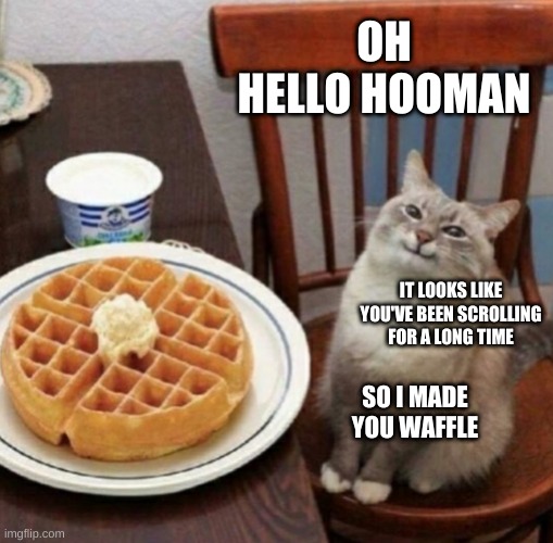Cat likes their waffle | OH HELLO HOOMAN; IT LOOKS LIKE YOU'VE BEEN SCROLLING FOR A LONG TIME; SO I MADE YOU WAFFLE | image tagged in cat likes their waffle,stop reading these tags | made w/ Imgflip meme maker