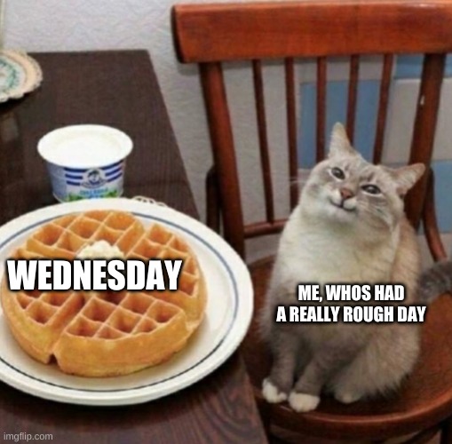 Cat likes their waffle | WEDNESDAY; ME, WHOS HAD A REALLY ROUGH DAY | image tagged in cat likes their waffle,wednesday,cats,waffles,stop reading the tags | made w/ Imgflip meme maker