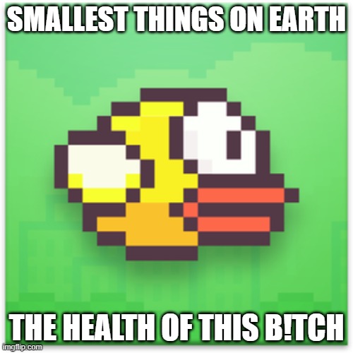 flappy birds | SMALLEST THINGS ON EARTH; THE HEALTH OF THIS B!TCH | image tagged in memes | made w/ Imgflip meme maker