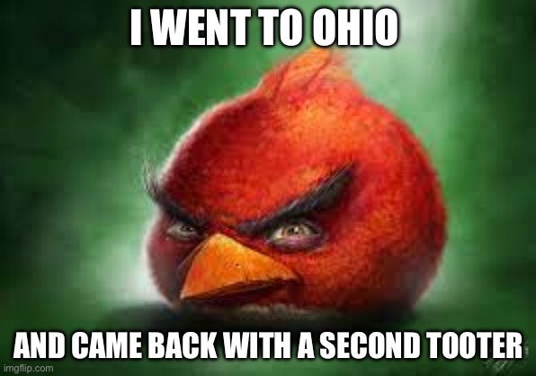 Tooter | I WENT TO OHIO; AND CAME BACK WITH A SECOND TOOTER | image tagged in realistic red angry birds | made w/ Imgflip meme maker