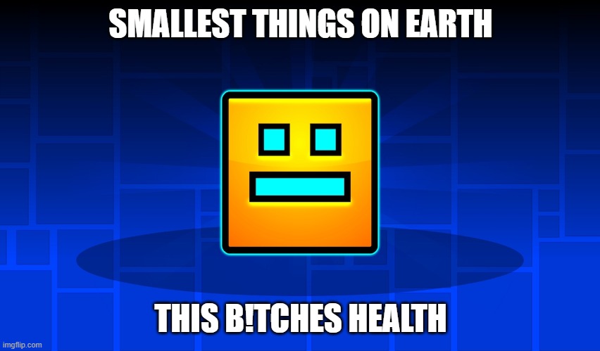 SMALLEST THINGS ON EARTH; THIS B!TCHES HEALTH | image tagged in funny | made w/ Imgflip meme maker