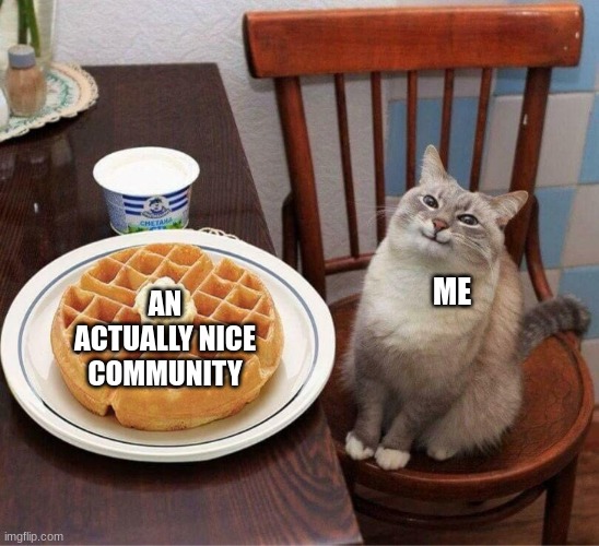 Pancake Cat | AN ACTUALLY NICE COMMUNITY; ME | image tagged in pancake cat | made w/ Imgflip meme maker