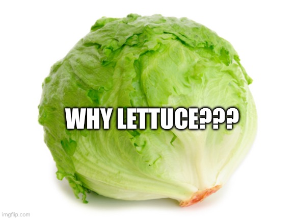 Lettuce  | WHY LETTUCE??? | image tagged in lettuce | made w/ Imgflip meme maker