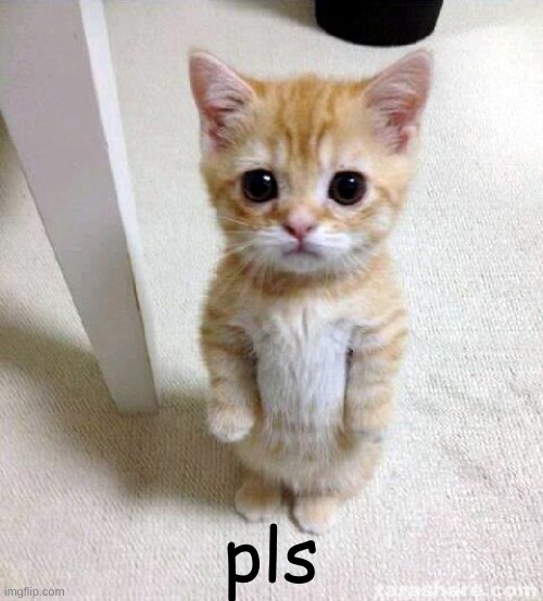 pls upvote | pls | image tagged in memes,cute cat | made w/ Imgflip meme maker