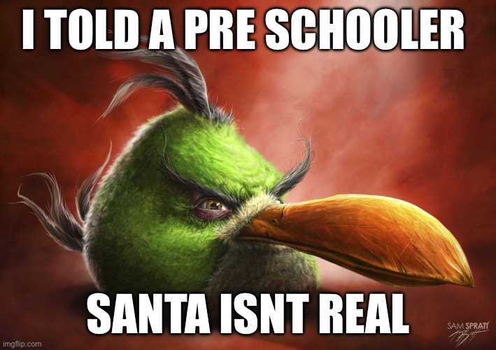 Realistic Angry Bird | I TOLD A PRE SCHOOLER; SANTA ISNT REAL | image tagged in realistic angry bird | made w/ Imgflip meme maker
