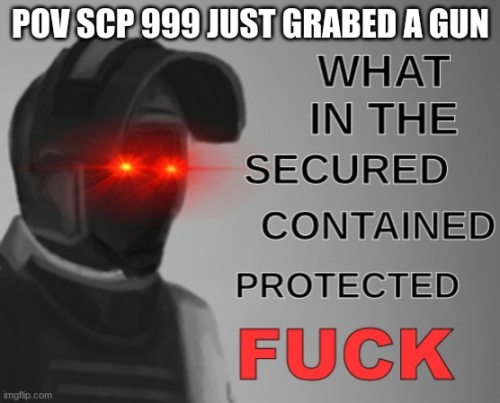 what in the scpf | POV SCP 999 JUST GRABED A GUN | image tagged in what in the scpf | made w/ Imgflip meme maker