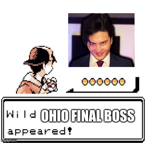 Only in Ohio | OHIO FINAL BOSS | image tagged in blank wild pokemon appears | made w/ Imgflip meme maker