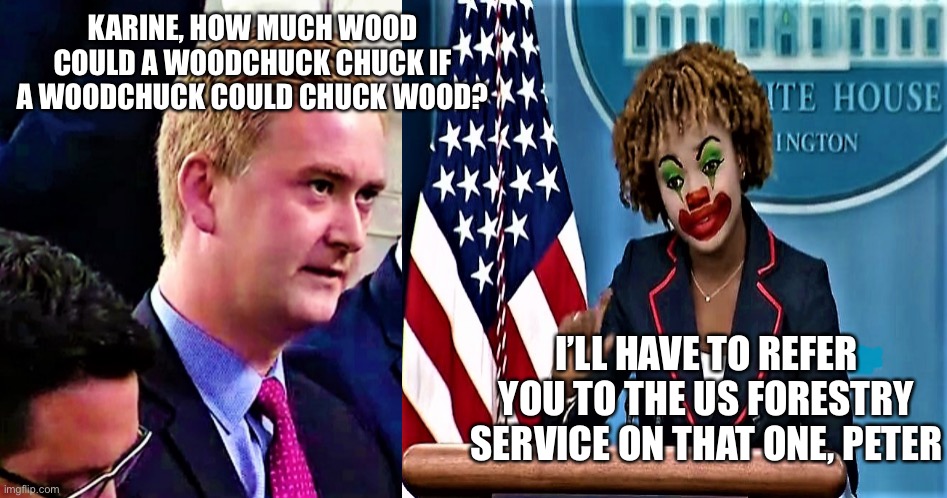 Woodchucks are not in my wheelhouse | KARINE, HOW MUCH WOOD COULD A WOODCHUCK CHUCK IF A WOODCHUCK COULD CHUCK WOOD? I’LL HAVE TO REFER YOU TO THE US FORESTRY SERVICE ON THAT ONE, PETER | image tagged in peter doocy vs kjp 1 | made w/ Imgflip meme maker