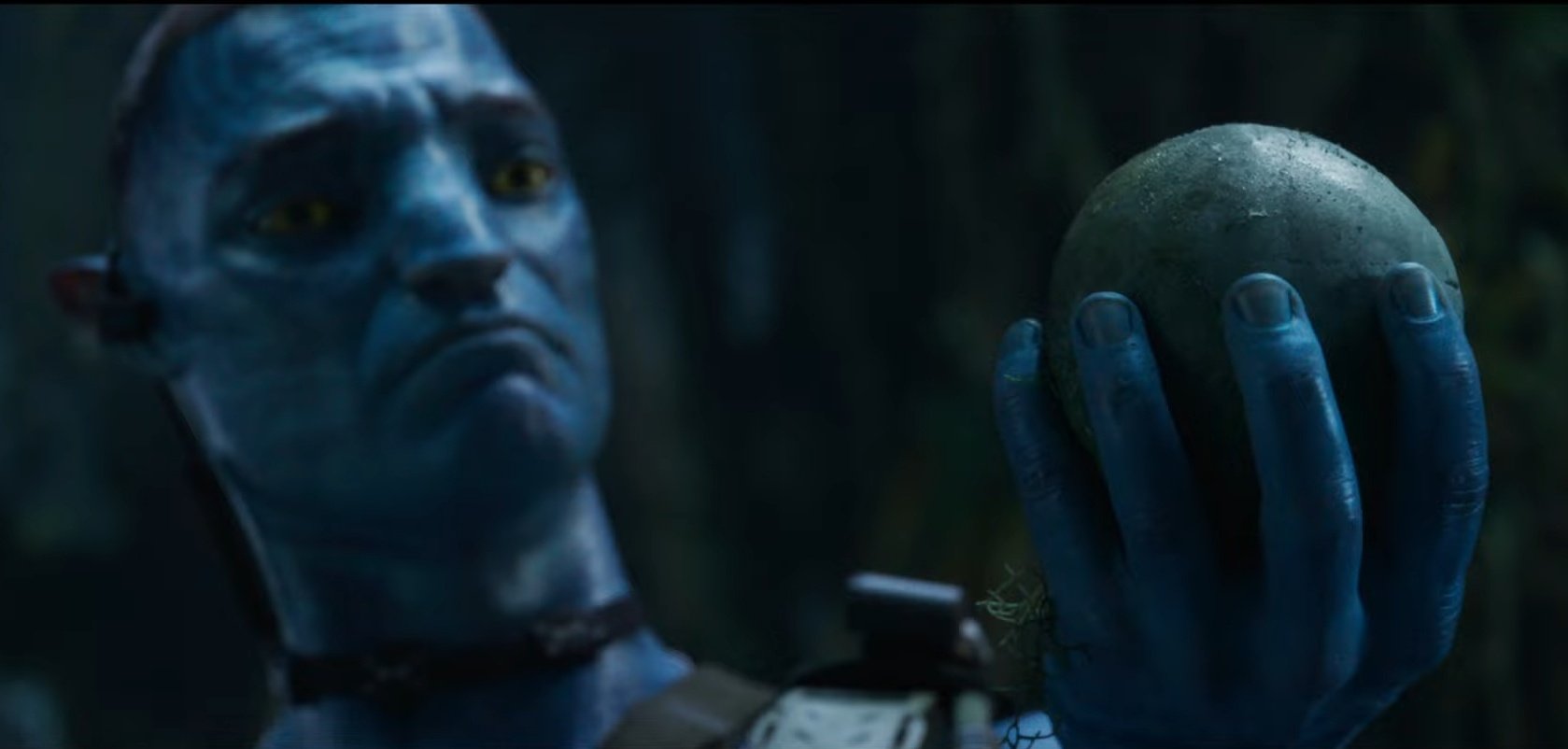 I knew himnot Blank Meme Template