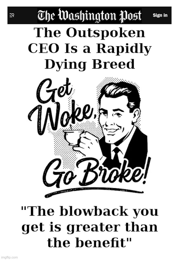 The Washington Post Now Realizes "Get Woke, Go Broke!" | image tagged in washington post,mainstream media,get woke go broke | made w/ Imgflip meme maker