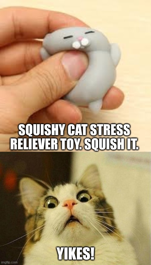 I hope they don't squish an actual cat! | SQUISHY CAT STRESS RELIEVER TOY. SQUISH IT. YIKES! | image tagged in memes,scared cat | made w/ Imgflip meme maker