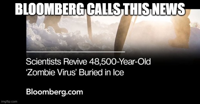 This is Bloomberg News? | BLOOMBERG CALLS THIS NEWS | image tagged in this is bloomberg news | made w/ Imgflip meme maker