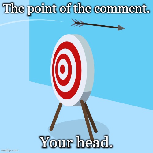 Missed the Point. | The point of the comment. Your head. | image tagged in you missed the whole point | made w/ Imgflip meme maker