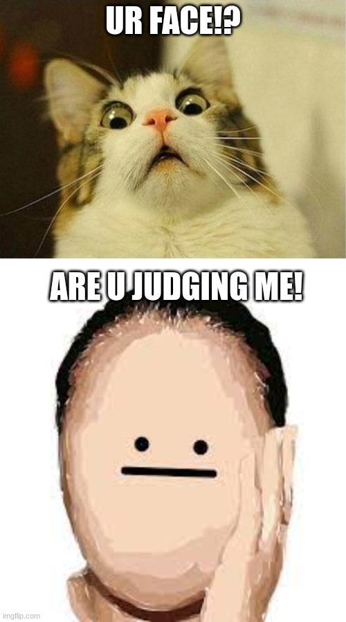 UR FACE!? ARE U JUDGING ME! | image tagged in memes,scared cat | made w/ Imgflip meme maker