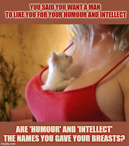 This #lolcat wonder why some think showing breasts shows their humour and intellect | YOU SAID YOU WANT A MAN 
TO LIKE YOU FOR YOUR HUMOUR AND INTELLECT; ARE 'HUMOUR' AND 'INTELLECT'
THE NAMES YOU GAVE YOUR BREASTS? | image tagged in breasts,lolcat,think about it,tinder,internet dating | made w/ Imgflip meme maker