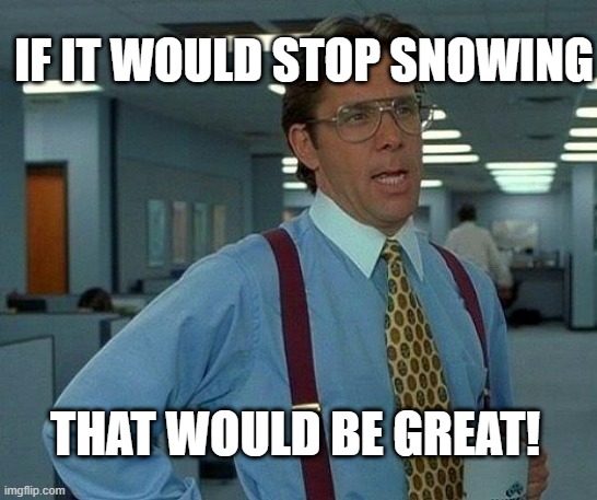 Too much snow | IF IT WOULD STOP SNOWING; THAT WOULD BE GREAT! | image tagged in memes,that would be great | made w/ Imgflip meme maker
