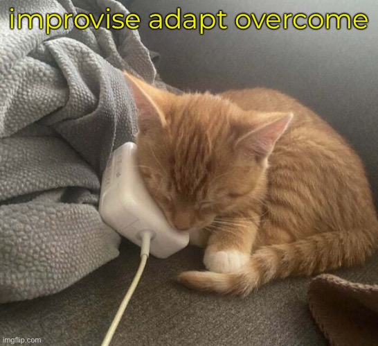 USB-Cute | improvise adapt overcome | image tagged in funny cat memes,cute cat,2023 | made w/ Imgflip meme maker