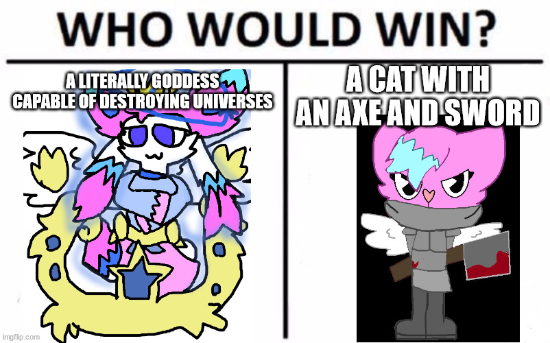 Who Would Win? Meme | A CAT WITH AN AXE AND SWORD; A LITERALLY GODDESS CAPABLE OF DESTROYING UNIVERSES | image tagged in memes,who would win | made w/ Imgflip meme maker