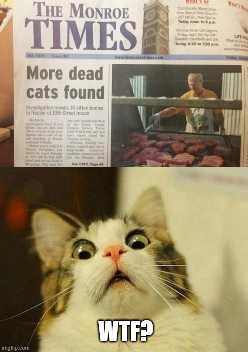 Wrong Picture | WTF? | image tagged in memes,scared cat | made w/ Imgflip meme maker