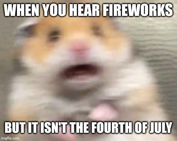 Scared Hampter | WHEN YOU HEAR FIREWORKS; BUT IT ISN'T THE FOURTH OF JULY | image tagged in scared hampter | made w/ Imgflip meme maker